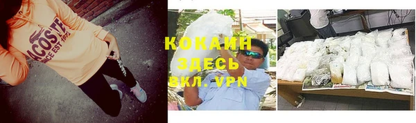 spice Алзамай