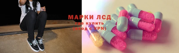 spice Алзамай