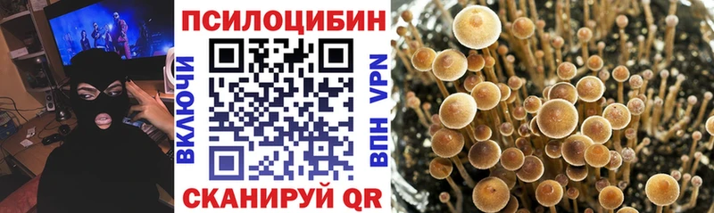 Галлюциногенные грибы MAGIC MUSHROOMS  наркота  omg онион  дарк нет Telegram  Чехов 